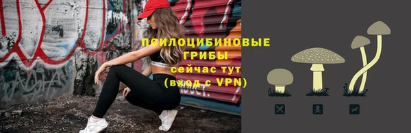 ECSTASY Абаза
