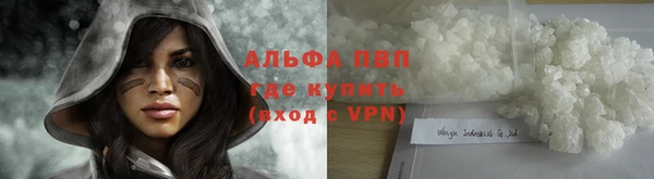 ECSTASY Абаза